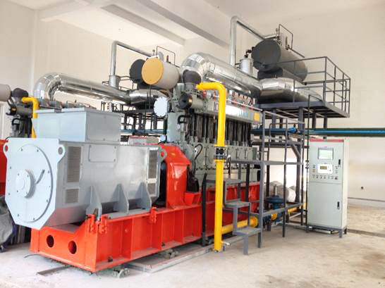 Shandong Lu Anti-Bio Park anaerobic biogas power generation project 2