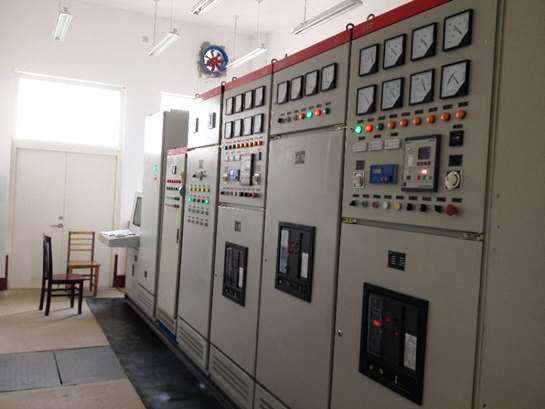 Shandong Lu Antibiological Park anaerobic biogas power generation project 3