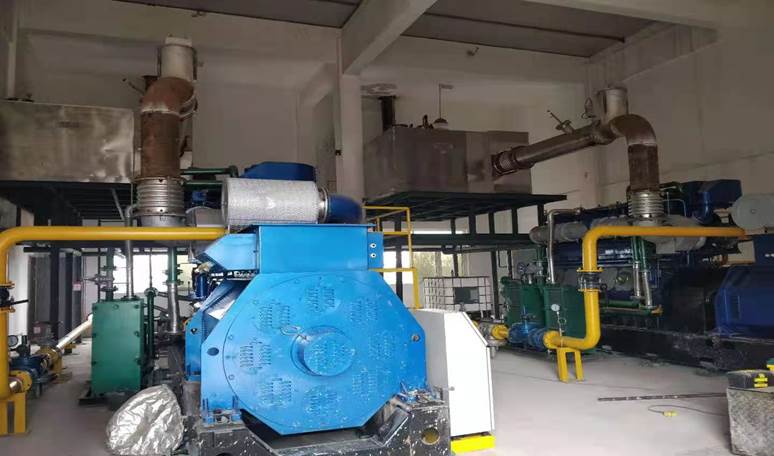  Zigong certain restaurant biogas project 