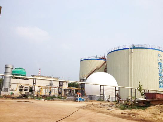 Shandong Lu Anti-Bio Park anaerobic biogas power generation project 1 