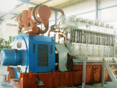 Type 300 BiogasNatural Gas Series